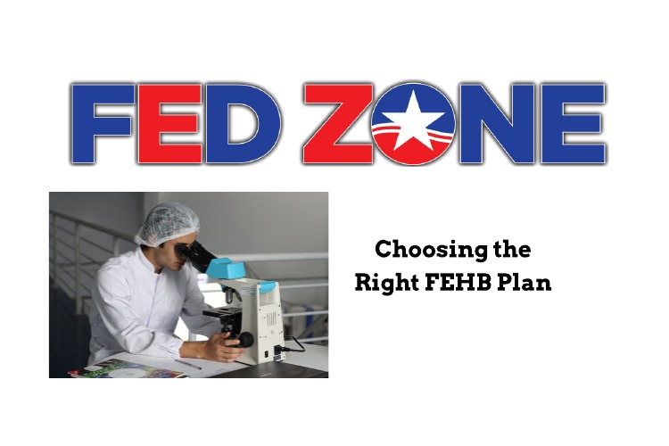 Fehb medicare understanding supplement
