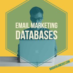 Featured image for email marketing databases