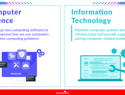 degree in computer science vs information technology